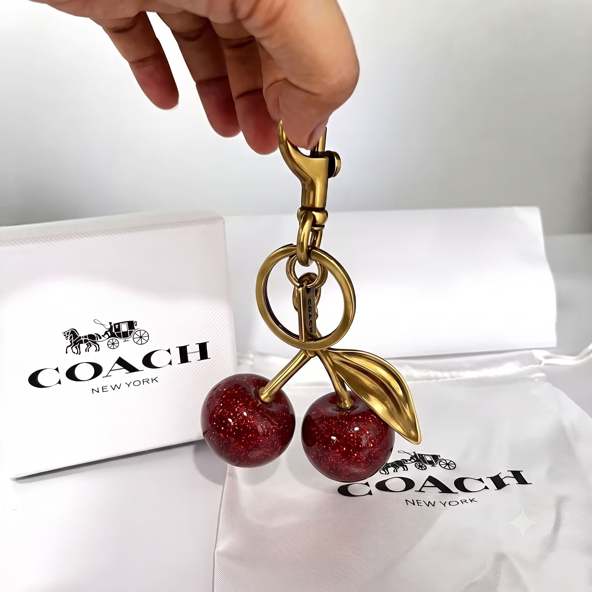 Coach Bag Charms (Gift Box Included)